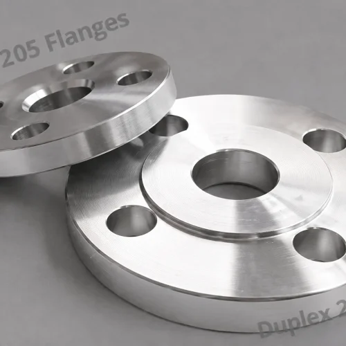 Duplex 2205 Flanges
